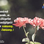 kavithai images | விதி கவிதை-இரண்டு மலர்கள்