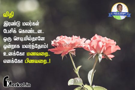 kavithai images | விதி கவிதை-இரண்டு மலர்கள்