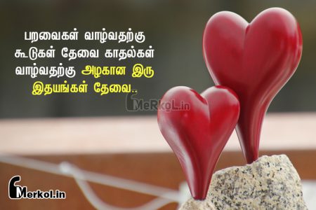 Love kavithai tamil | காதல் இதயம் கவிதை-பறவைகள்