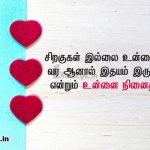 Love quotes in tamil | இதயம் வருடும் காதல் கவிதை-சிறகுகள்