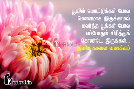 இதயம் கனிந்த இனிய காலை வணக்கம்-பூவின்