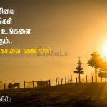 நட்புடன் இனிய இரவு வணக்கம் – நிலவை போல