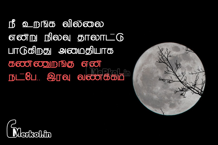 Whatsapp status tamil | சுகமான இனிய இரவு வணக்கம் – நீ உறங்க