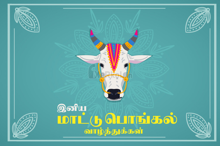 Happy Mattu Pongal 2020