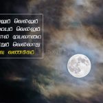 Whatsapp dp in tamil | இனிய இரவு வணக்கம் – முயலும் வெல்லும்
