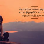 Love quotes in tamil | அற்புதமான காதல் கவிதை – பிடித்தவர்கள்